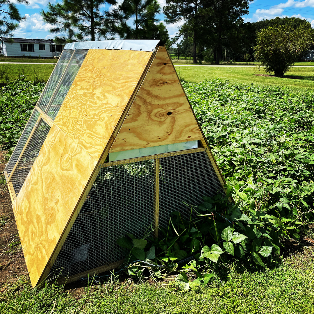 OUR A-FRAME CHICKEN TRACTOR BUILD