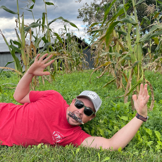 COVER CROP INTERPLANTING: OUR LATEST FASCINATION