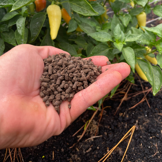 Using Organic Fertilizers in the Backyard Garden
