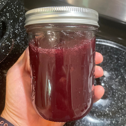 ShoeBuddy Muscadine Jelly