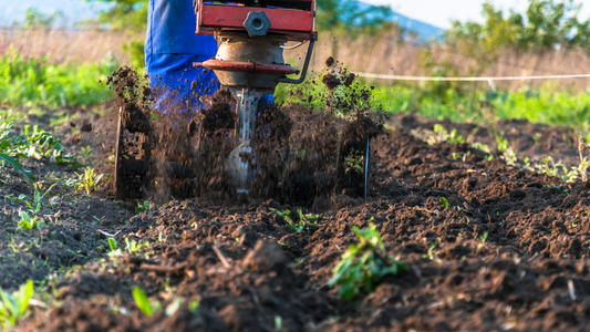 When Not To Till Your Garden