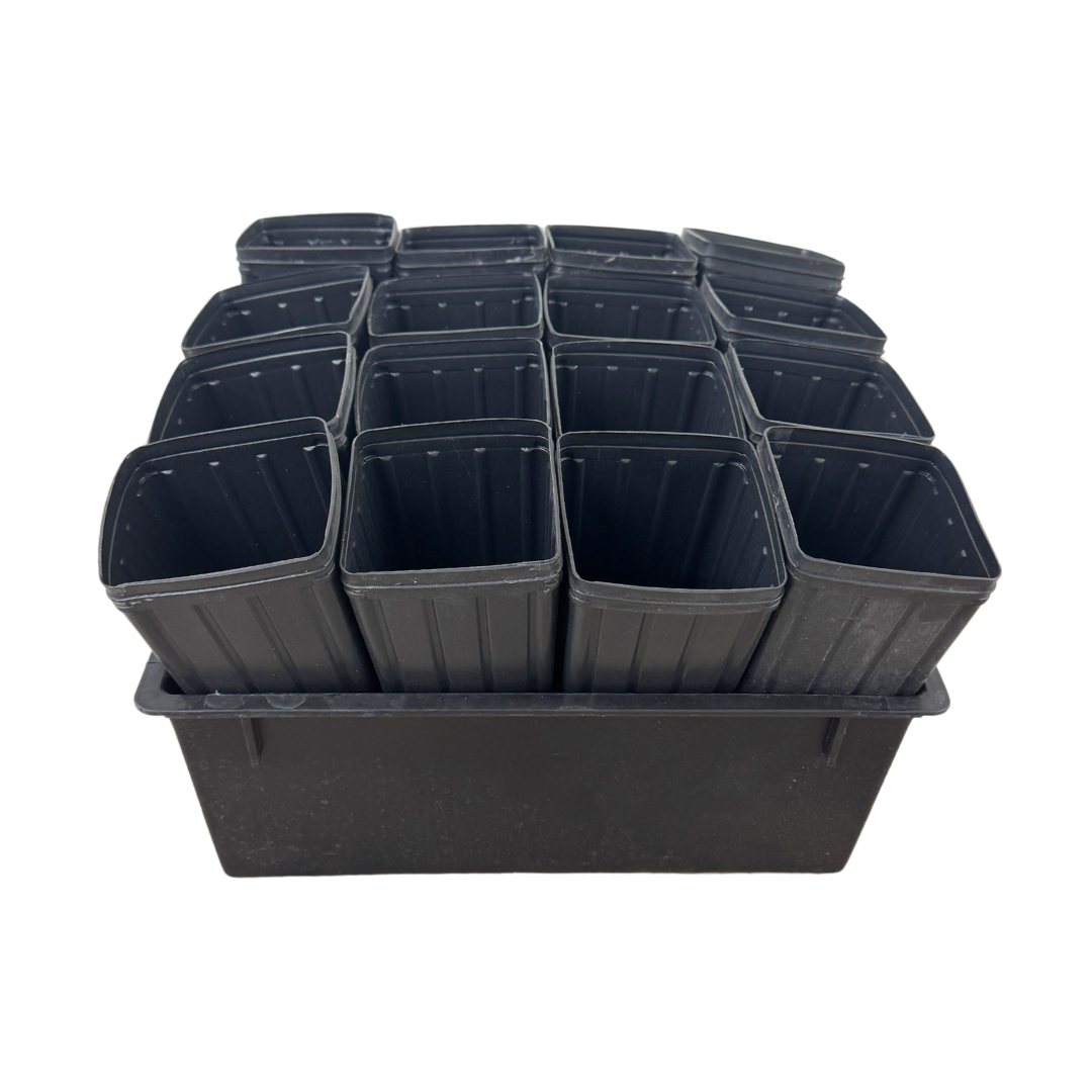 4x9" Tree Pots with Holding Tray