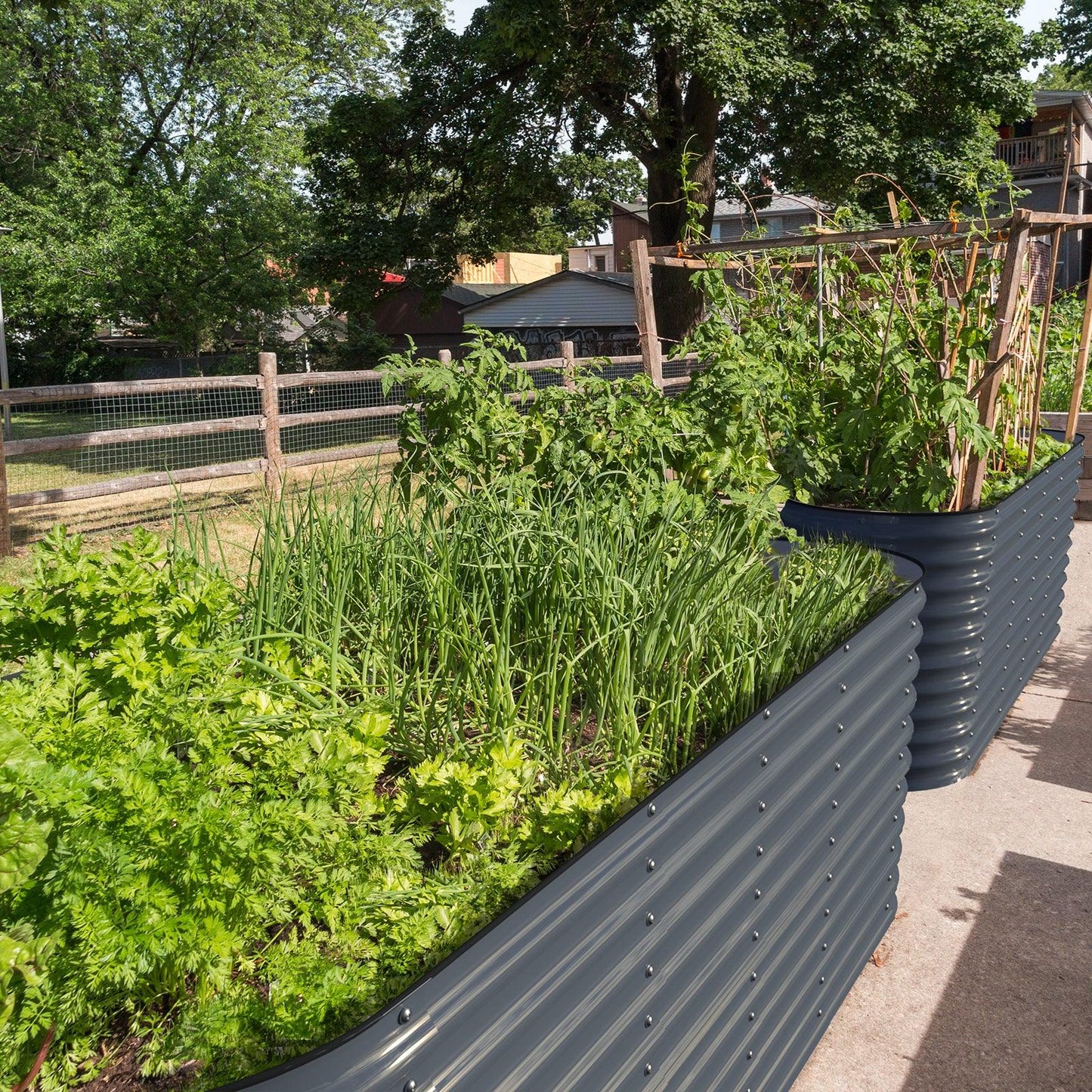 Olle Gardens 32" Tall, 12-in-1 Raised Garden Beds