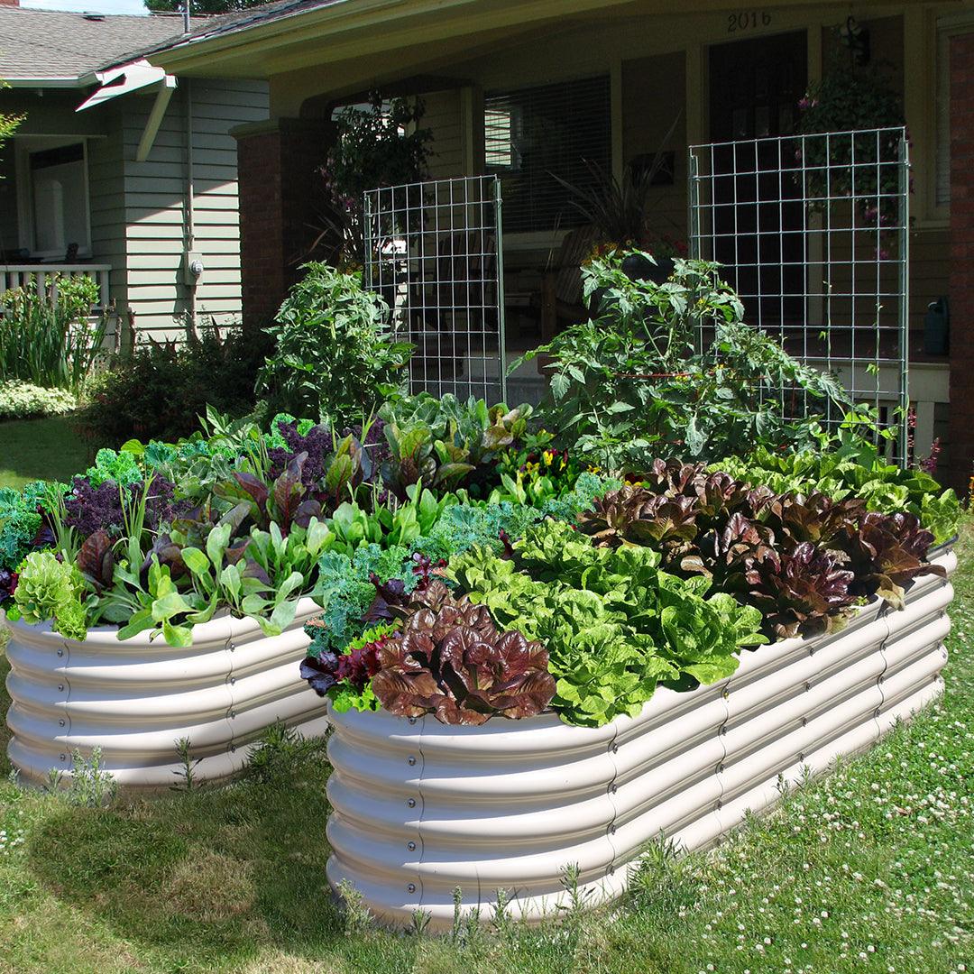 Olle Gardens 17" Tall, 12-in-1 Raised Garden Beds