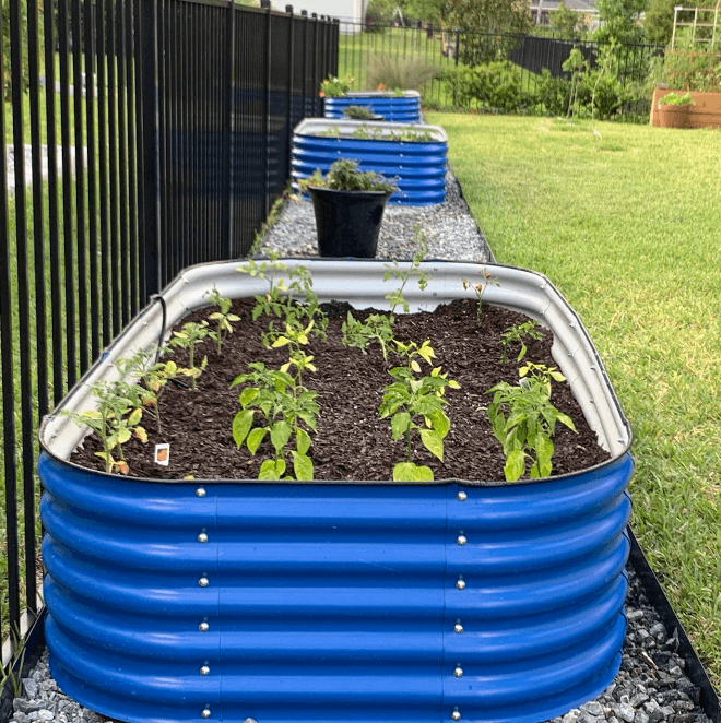 Olle Gardens 17" Tall, 12-in-1 Raised Garden Beds