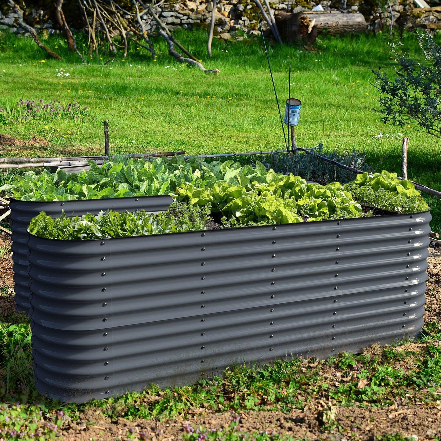 Olle Gardens 32" Tall, 12-in-1 Raised Garden Beds
