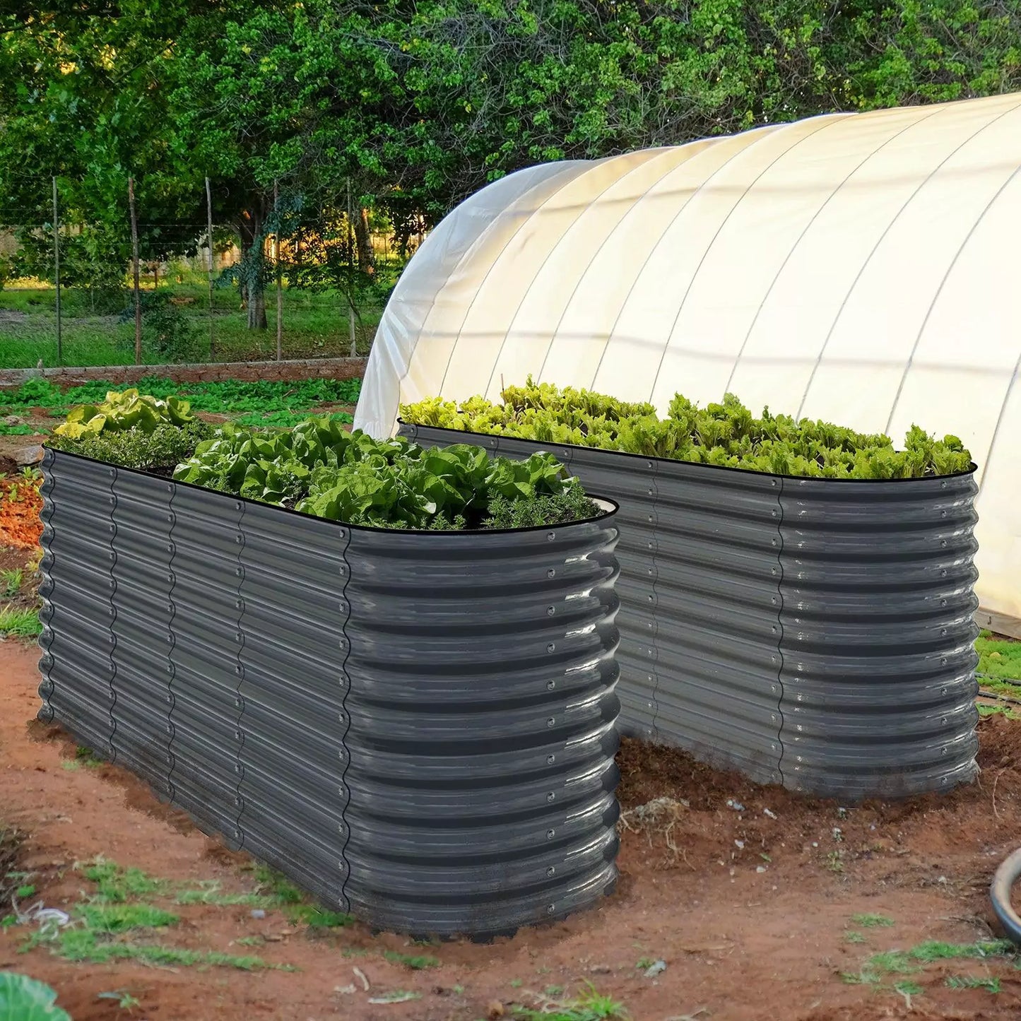 Olle Gardens 32" Tall, 12-in-1 Raised Garden Beds