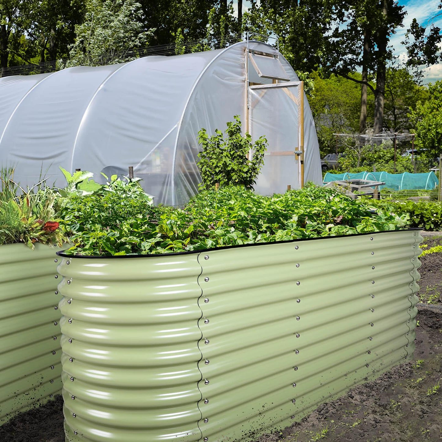 Olle Gardens 32" Tall, 12-in-1 Raised Garden Beds