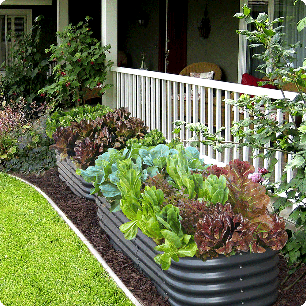 Olle Gardens 17" Tall, 12-in-1 Raised Garden Beds