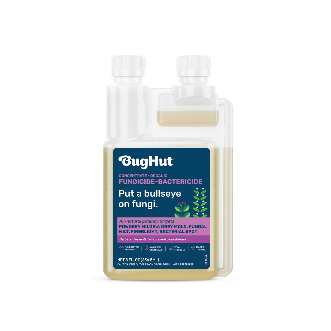 bactericide/fungicide for indoor plants BugHut Fungicide | All-Natural Garden Fungicide
