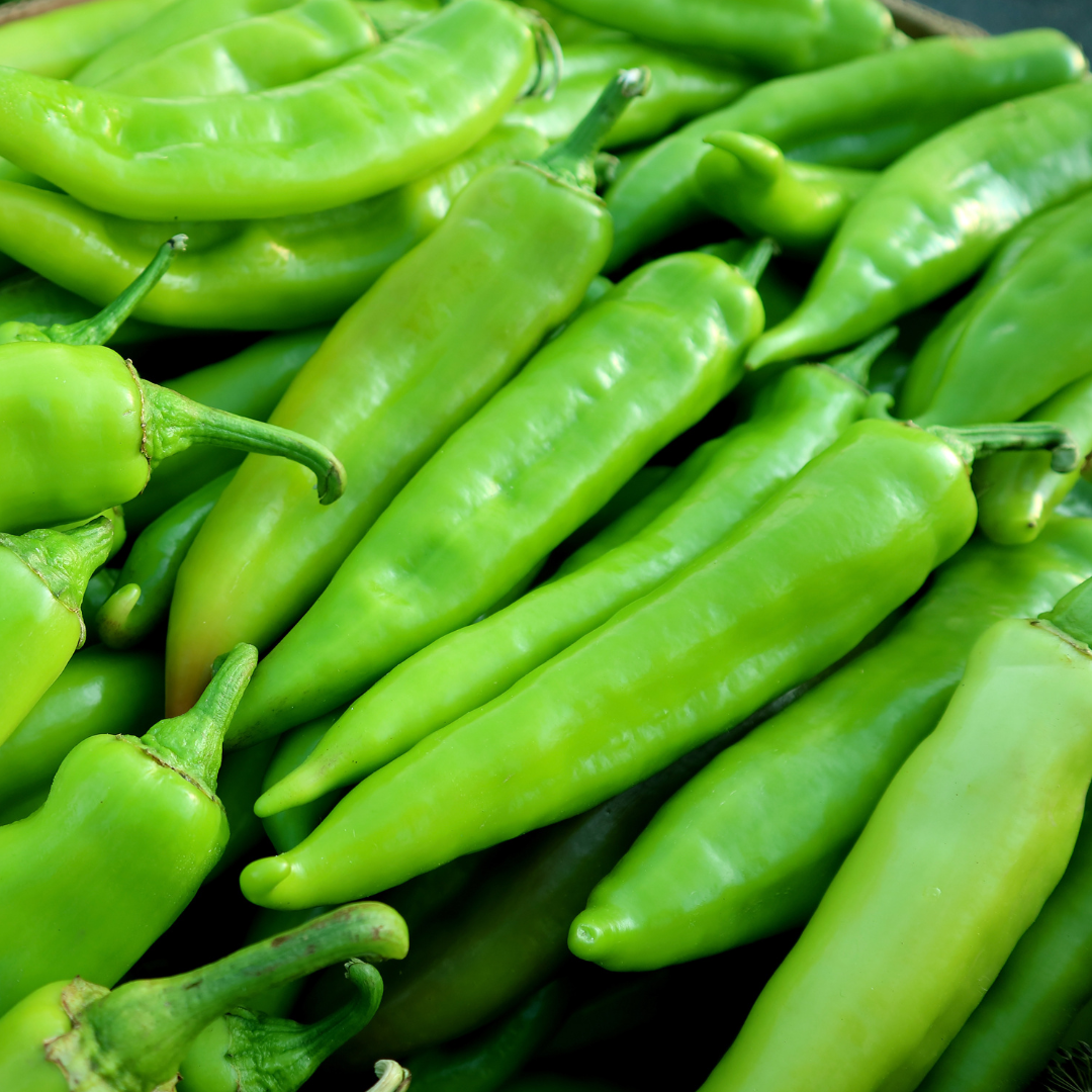 Charger Anaheim Pepper Seeds from Lazy Dog Farm