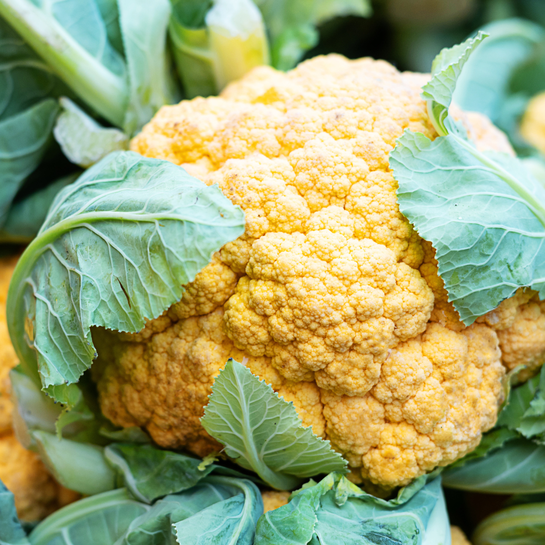 Clementine Cauliflower Seed from Lazy Dog Farm