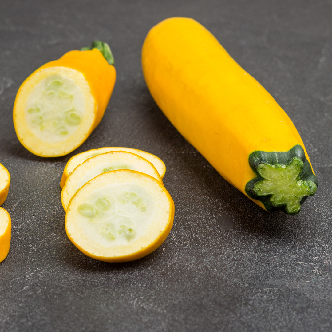 Golden Glory Zucchini Seed from Lazy Dog Farm