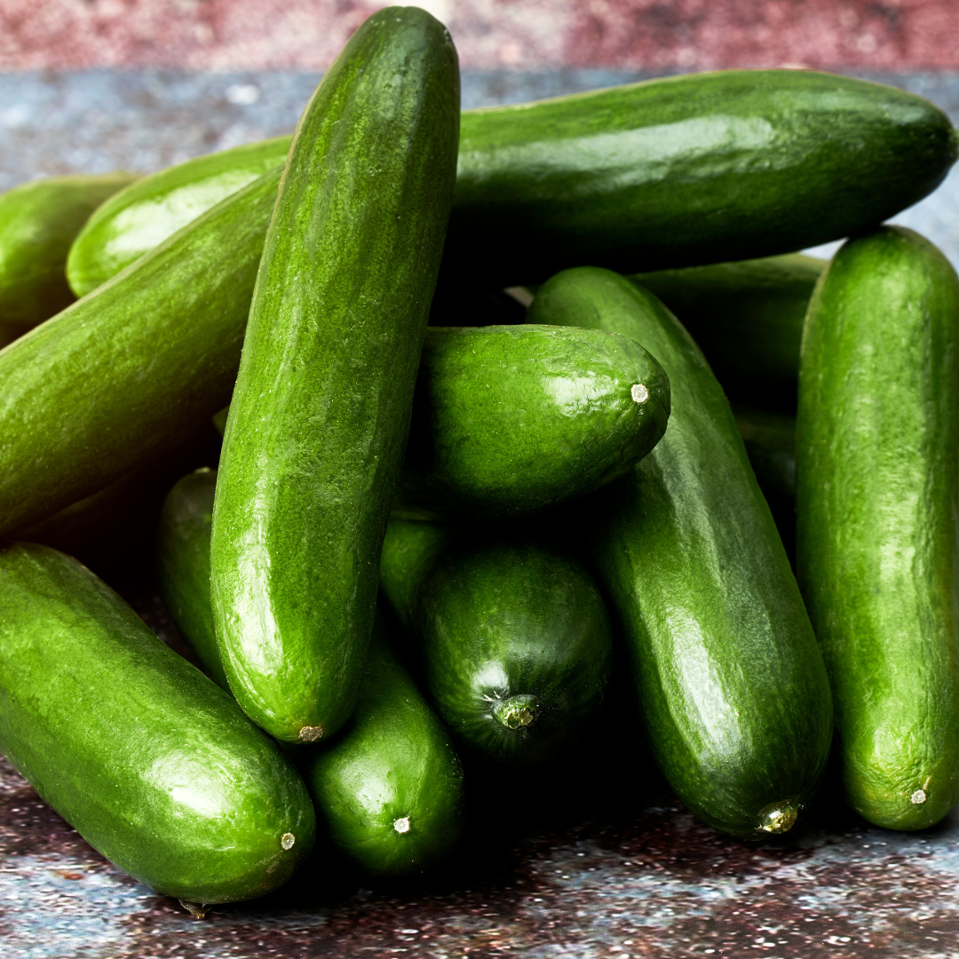 Katrina Cucumber Seed from Lazy Dog Farm