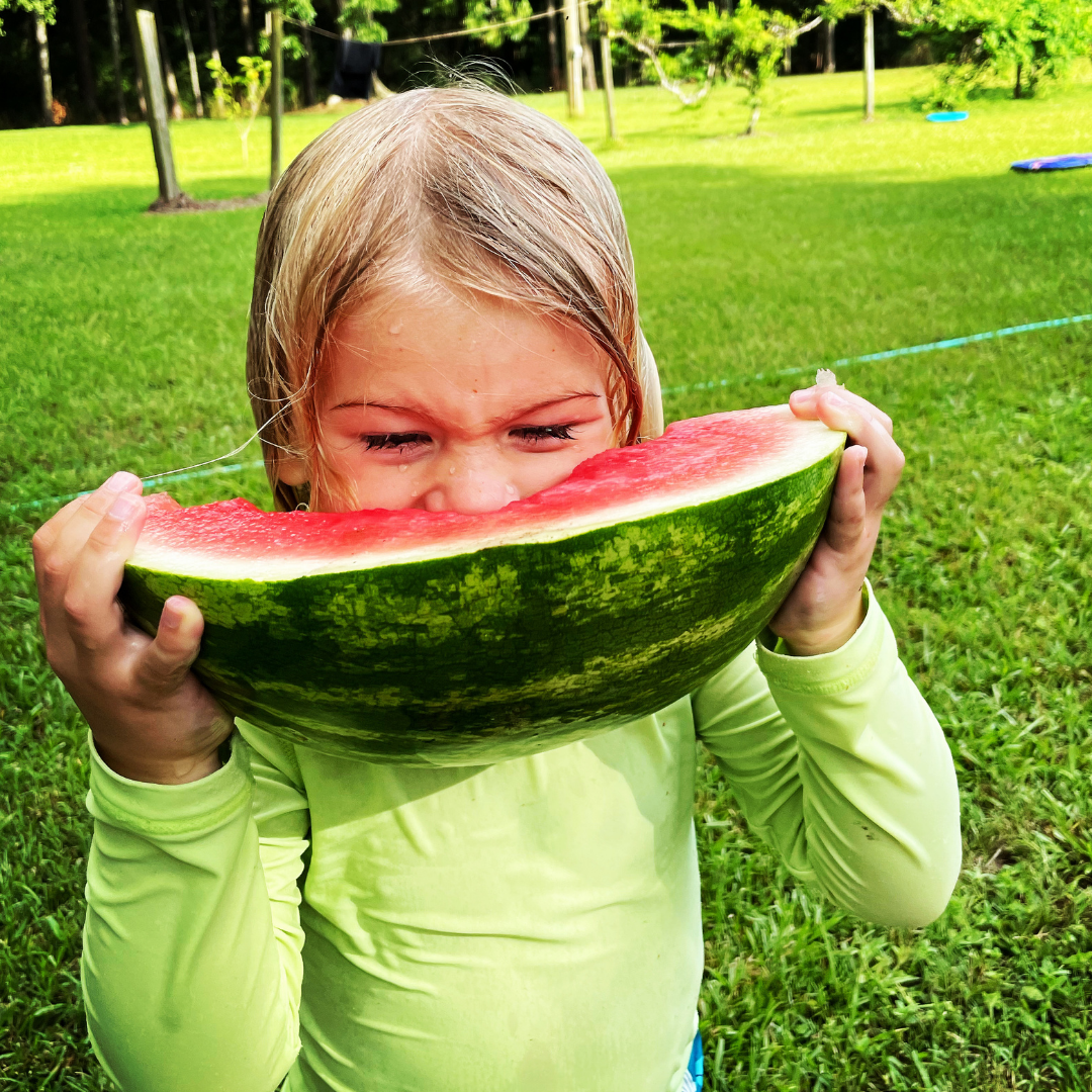 2021 Garden Varieties Winners - Summer Breeze Seedless Watermelon