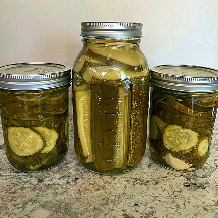 CRUNCHY DILL PICKLES EASY TO USE RECIPE LAZY DOG FARM Lazy Dog Farm
