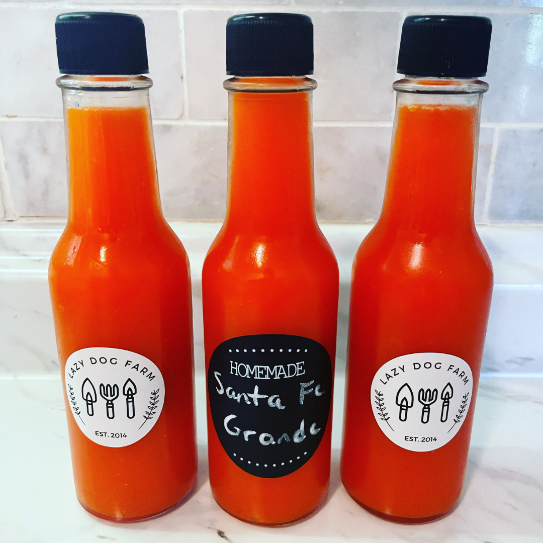 fermented hot sauce with santa fe grande peppers