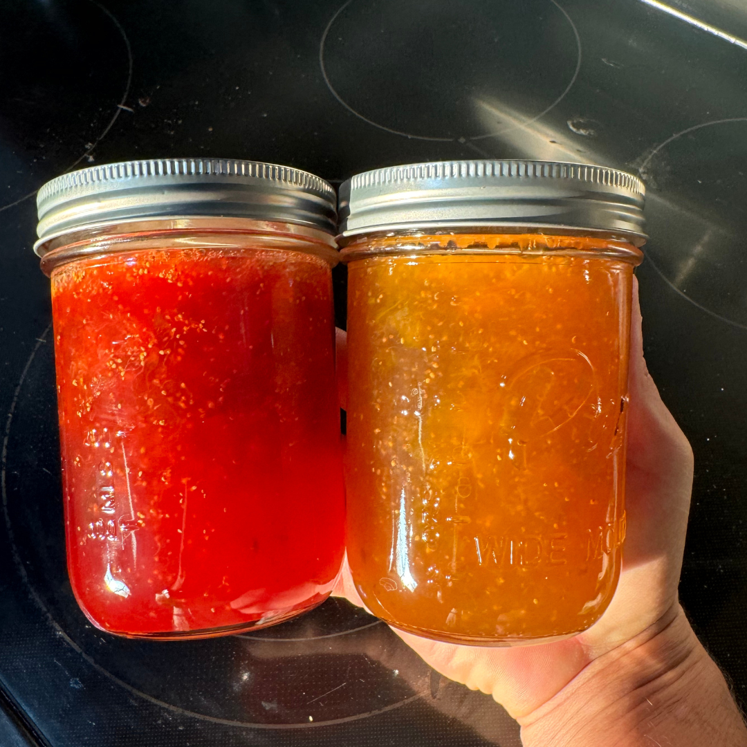 fig-jam-recipe-make-your-own-fig-jelly-or-jam-lazy-dog-farm