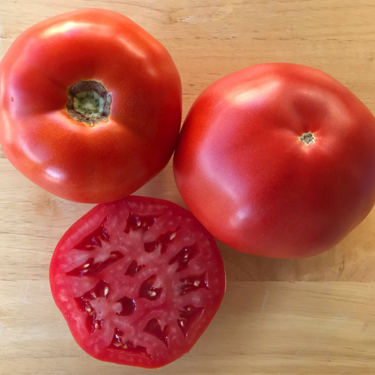 Thunderbird Hybrid Determinant Tomato Seeds
