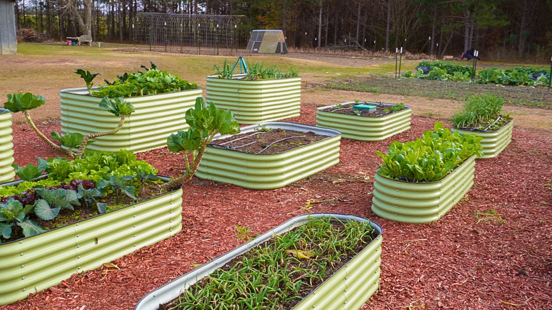 Tips for Starting a Raised Bed Garden