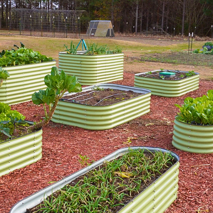 Tips for Starting a Raised Bed Garden