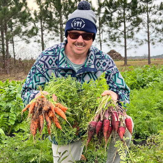 Travis holding orange and purple carrot harvest