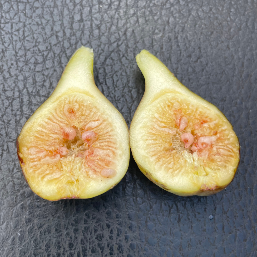 Sugar Figs