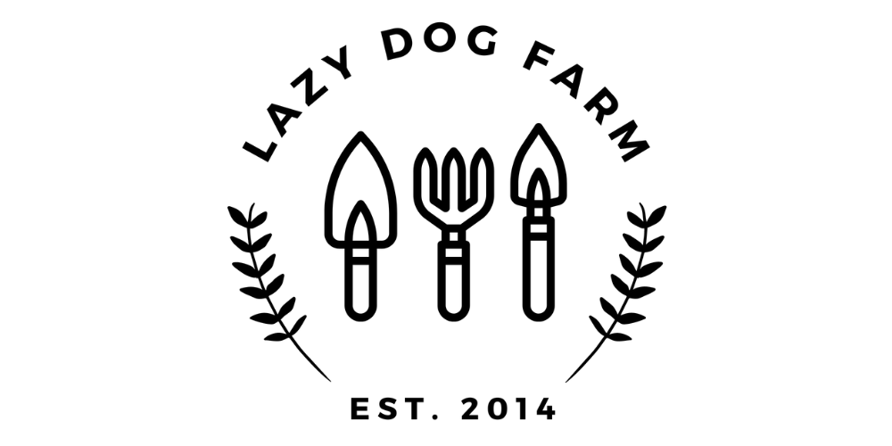 Cowpea Seeds – Lazy Dog Farm