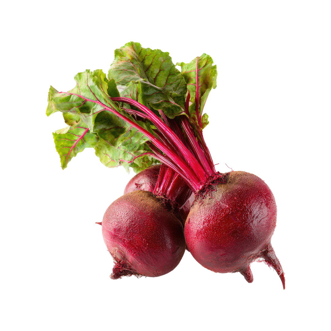 Chioggia Beet Seed from Lazy Dog Farm