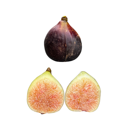Black Mission Fig Tree from Lazy Dog Farm