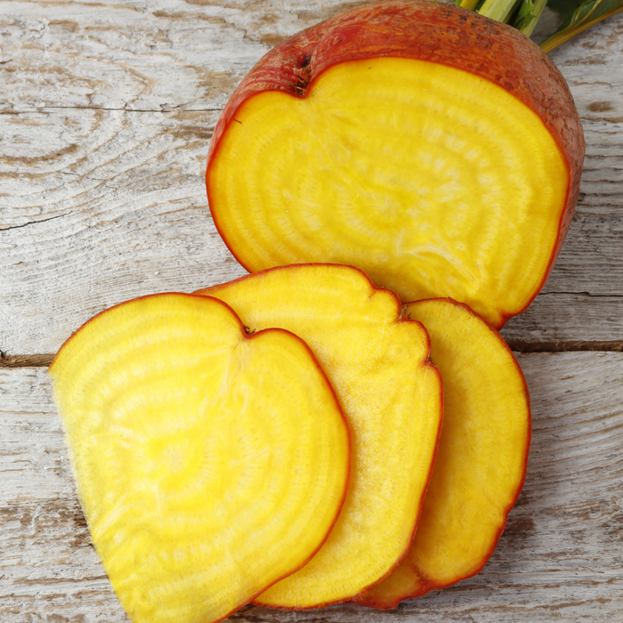Boldor Beet Seed from Lazy Dog Farm