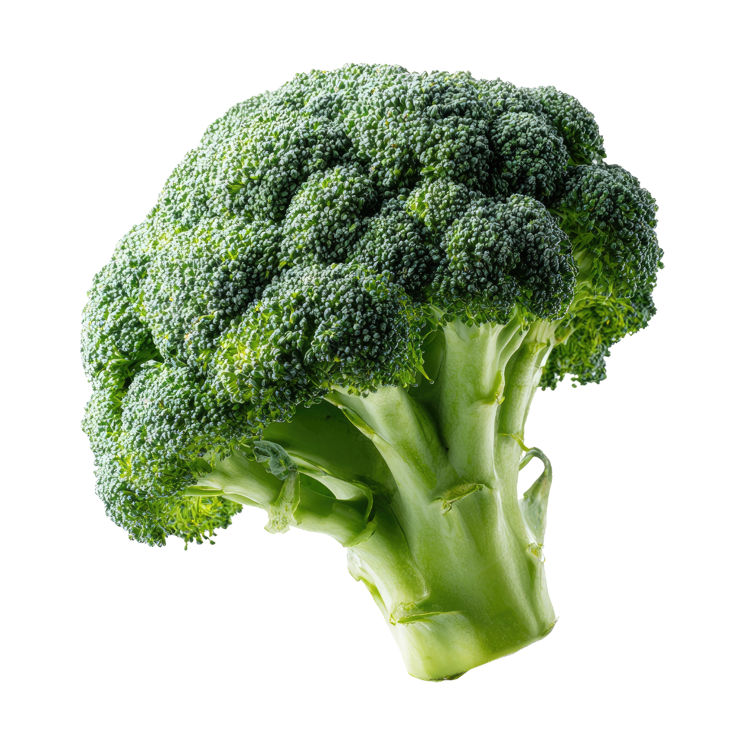Broccoli Seeds from Lazy Dog Farm