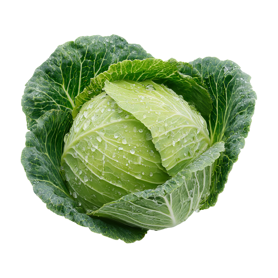 Cabbage Seeds from Lazy Dog Farm