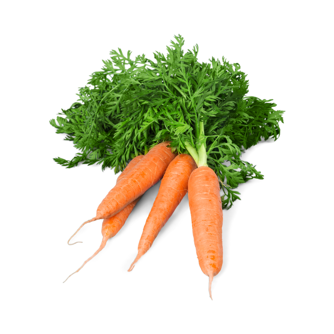 Carrot Seeds from Lazy Dog Farm