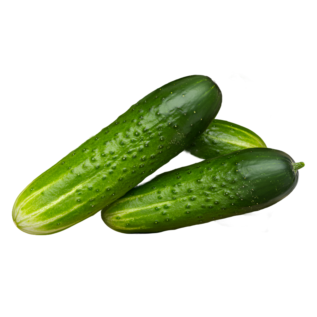 Cucumber Seeds from Lazy Dog Farm