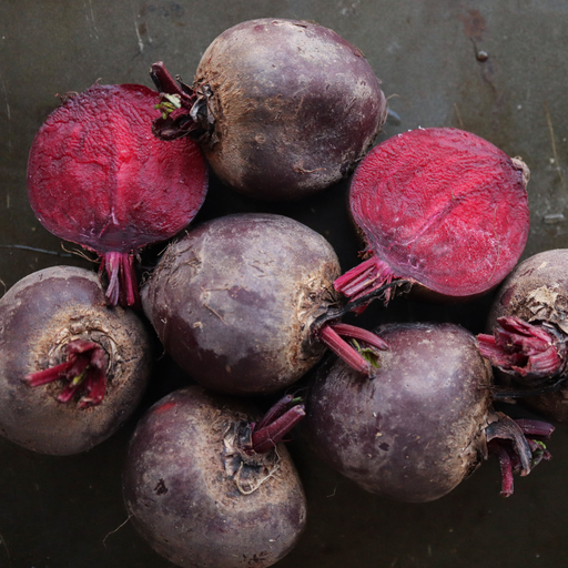 Detroit Dark Red Beet Seed from Lazy Dog Farm