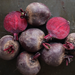 Detroit Dark Red Beet Seed from Lazy Dog Farm