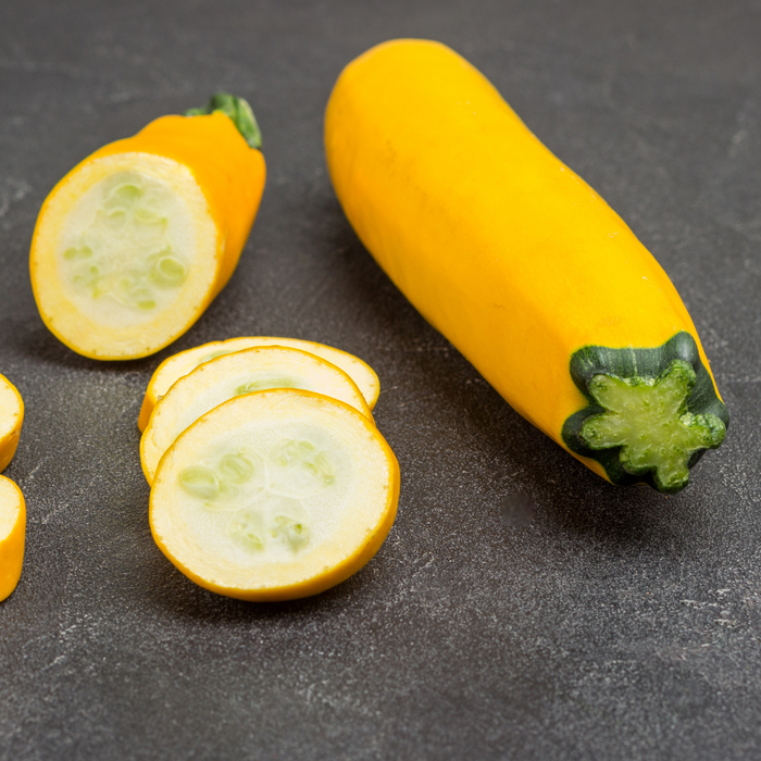 Golden Glory Zucchini Seed from Lazy Dog Farm