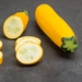 Golden Glory Zucchini Seed from Lazy Dog Farm
