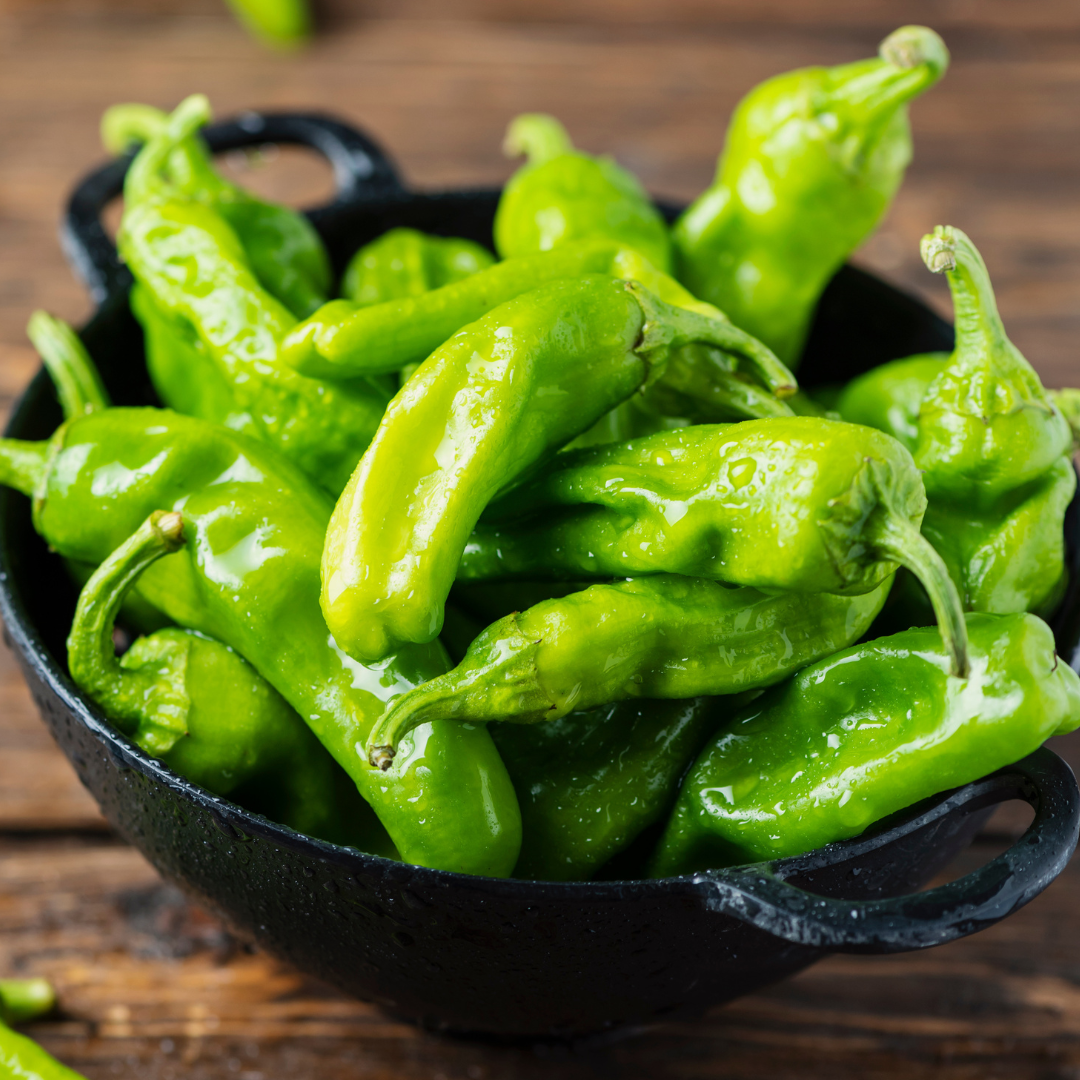Greek Pepperoncini Pepper Seed from Lazy Dog Farm