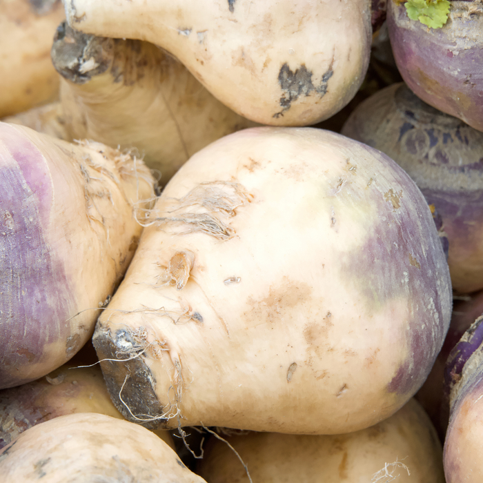 Helenor Rutabaga Seed from Lazy Dog Farm
