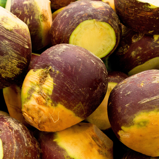 Improved Purple Top Rutabaga Seed from Lazy Dog Farm