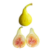 LSU Scott's Yellow Fig Tree from Lazy Dog Farm