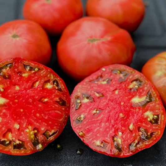 Mountain Heritage Tomato Seed from Lazy Dog Farm