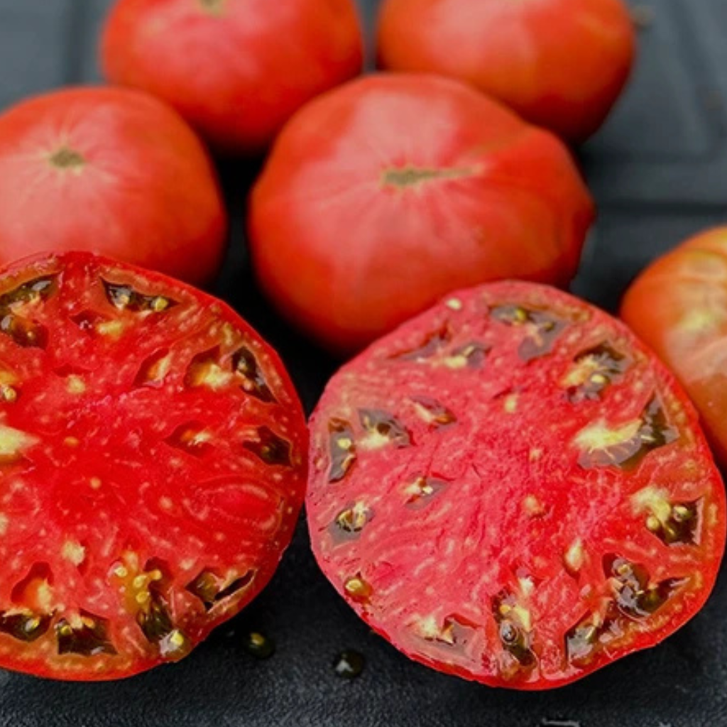 Mountain Heritage Tomato Seed | Large, Meaty Tomatoes | Lazy Dog Farm