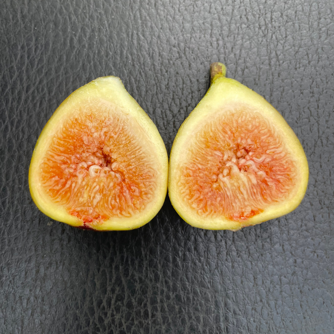 The Olympic Fig A Symbol of Ancient Greece The Olympic Fig A Symbol of Ancient Greece