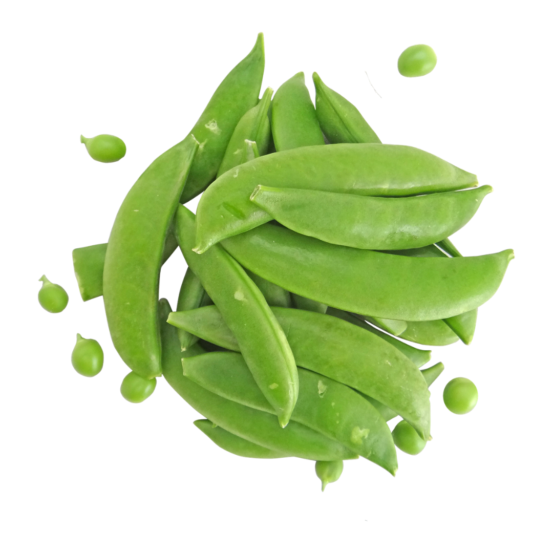 Pea Seeds from Lazy Dog Farm