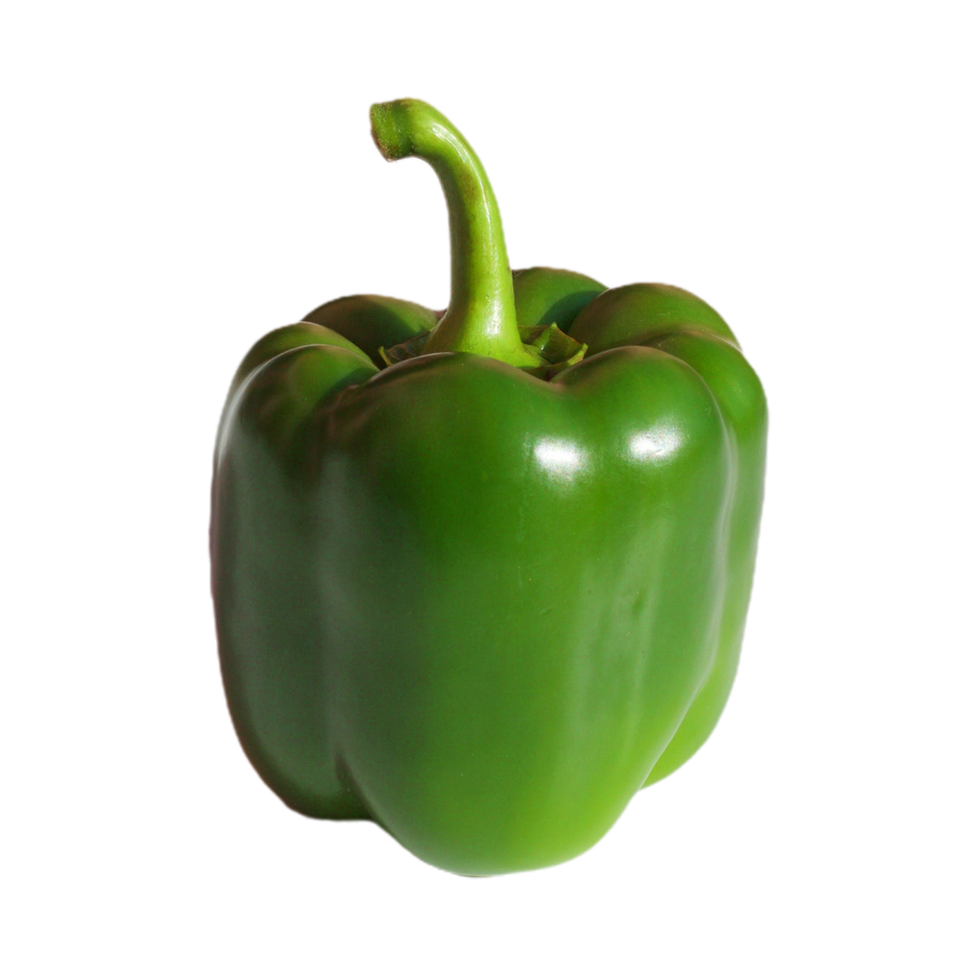 Pepper Seeds from Lazy Dog Farm