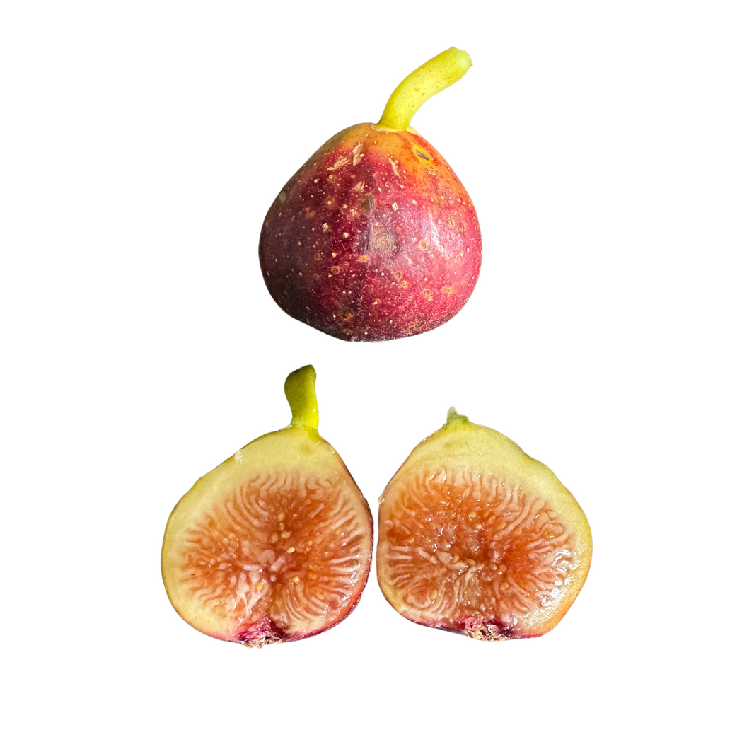 BERRY FIGS | DEEP RED COLOR WITH BERRY FLAVORS | LAZY DOG FARM – Lazy ...