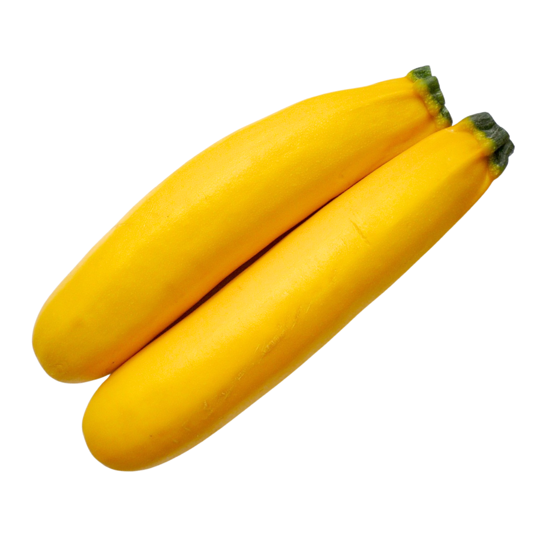 Summer Squash Seeds from Lazy Dog Farm